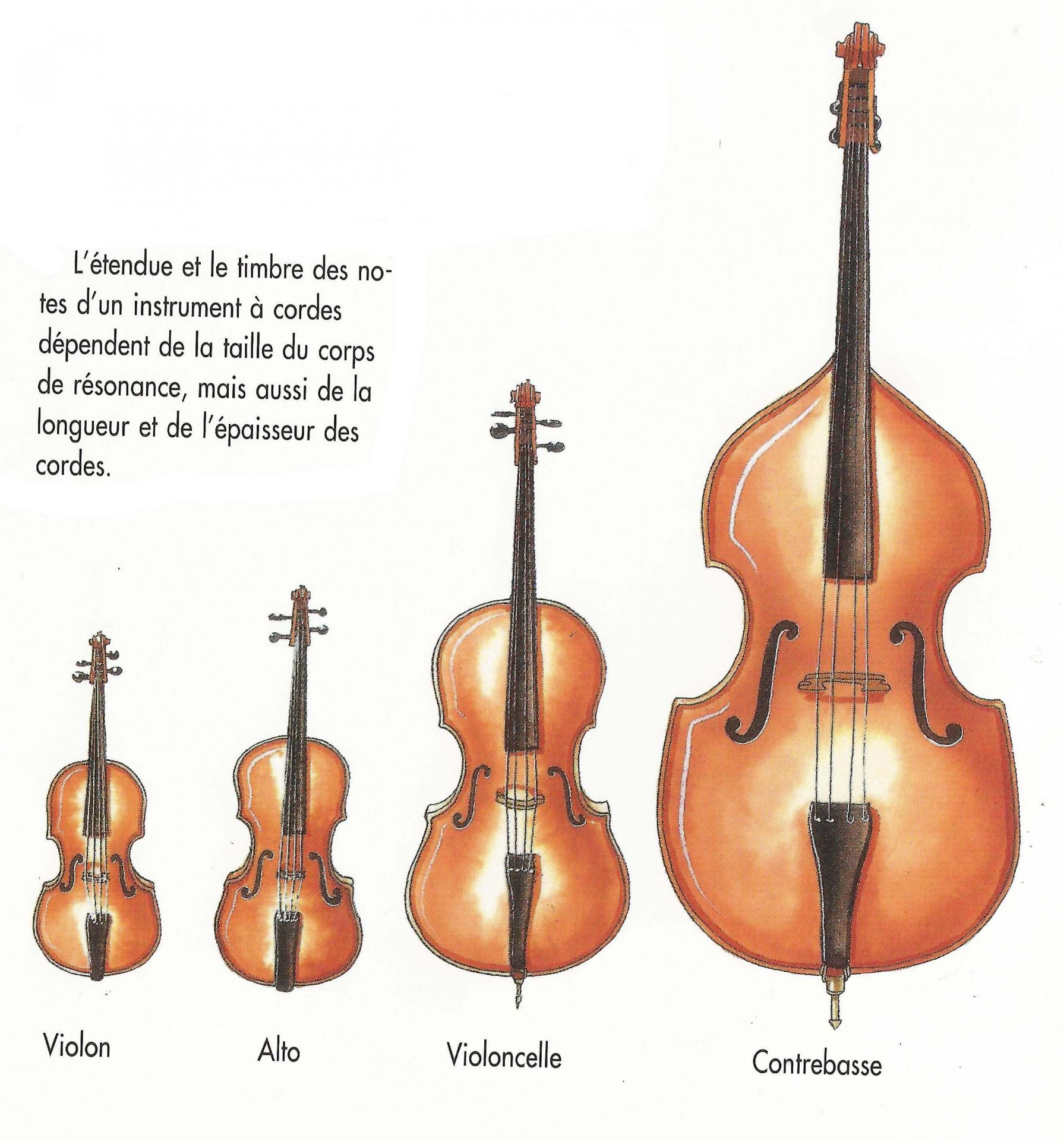 Les familles d'instruments - Les cordes frottées - Les violons